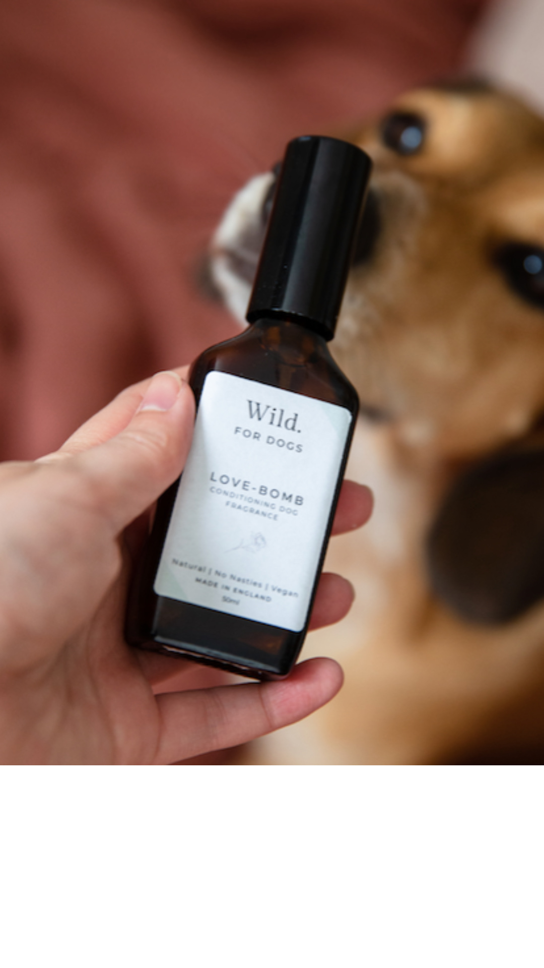 Dog fragrance sales